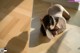 A woman laying on the floor with her head in her hands.